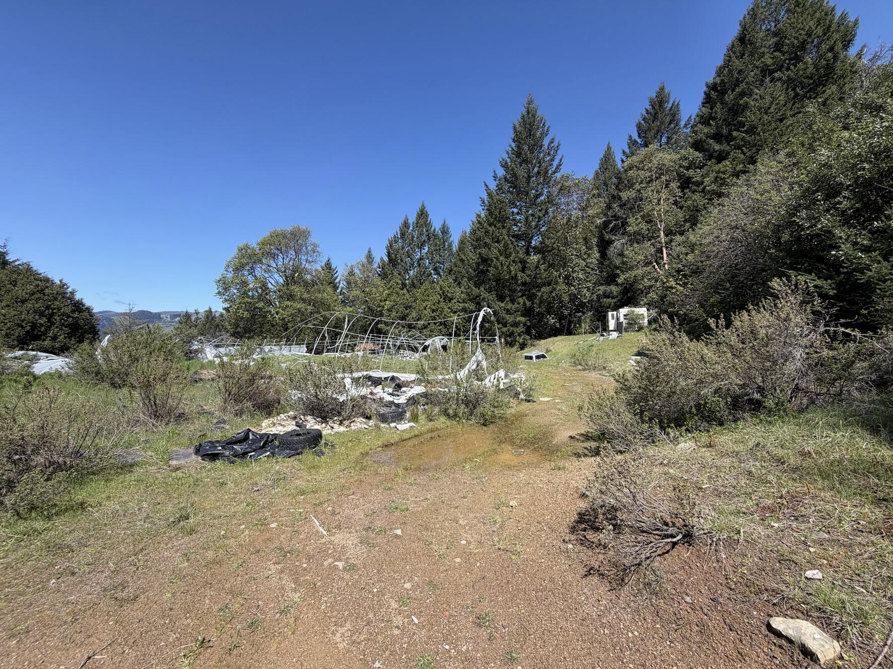 Thumbnail 18
