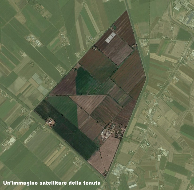 Tenuta Mazzocchio