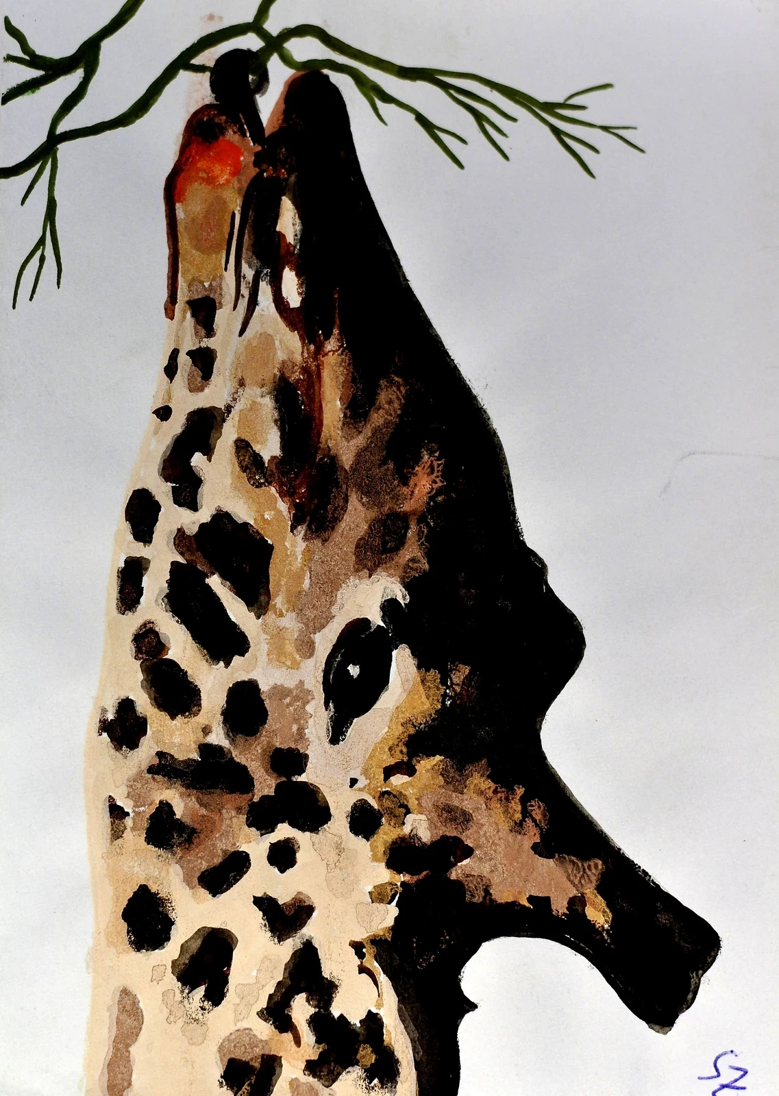 Tiere 03