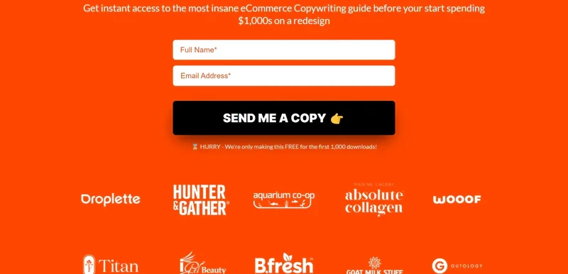 Blend-ebook-inline-form