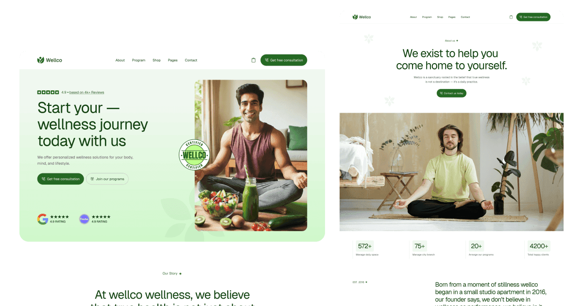 Wellco preview 4