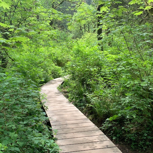 徒步穿越令人惊叹的大自然。