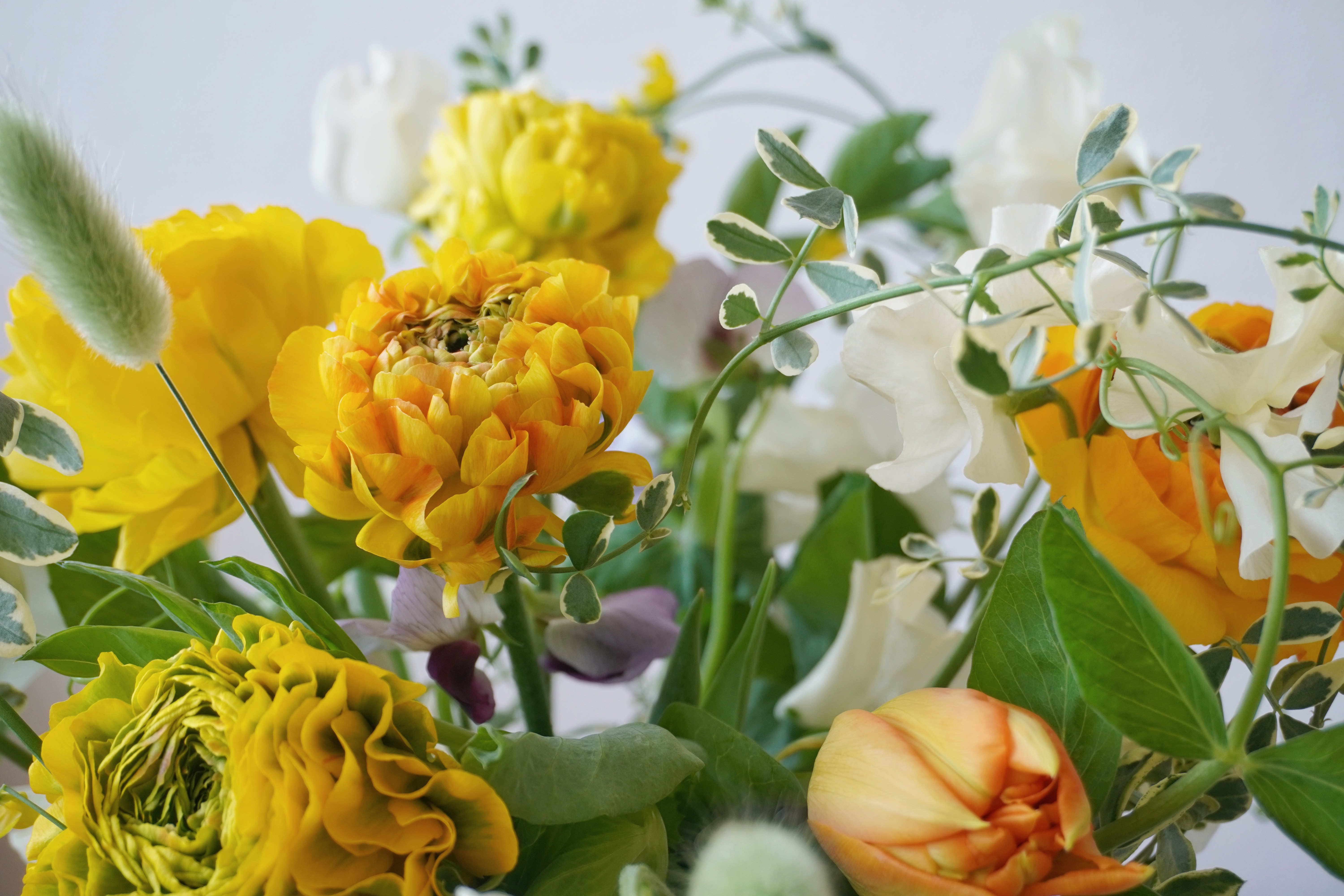 white and beige flowers