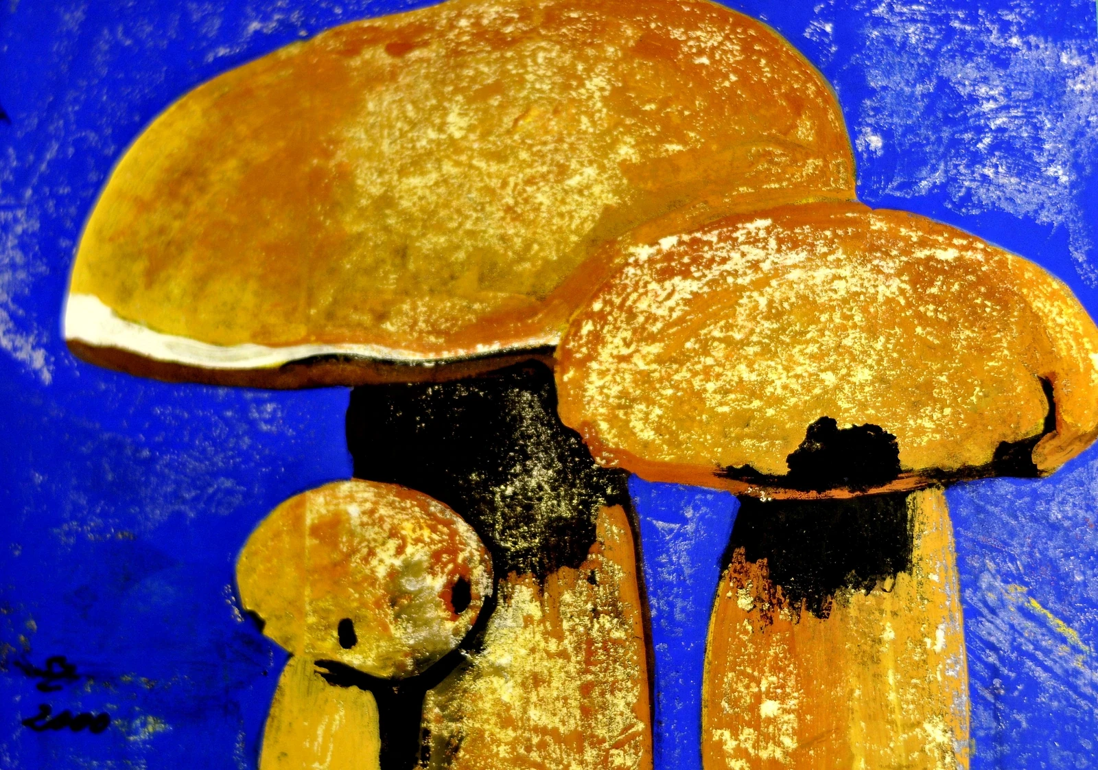 Früchte 17