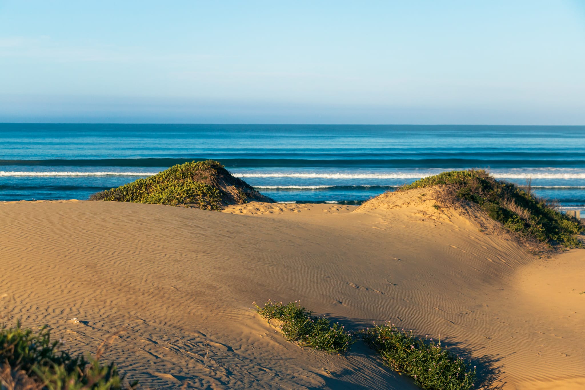 sand dunes in front of a blue horizon