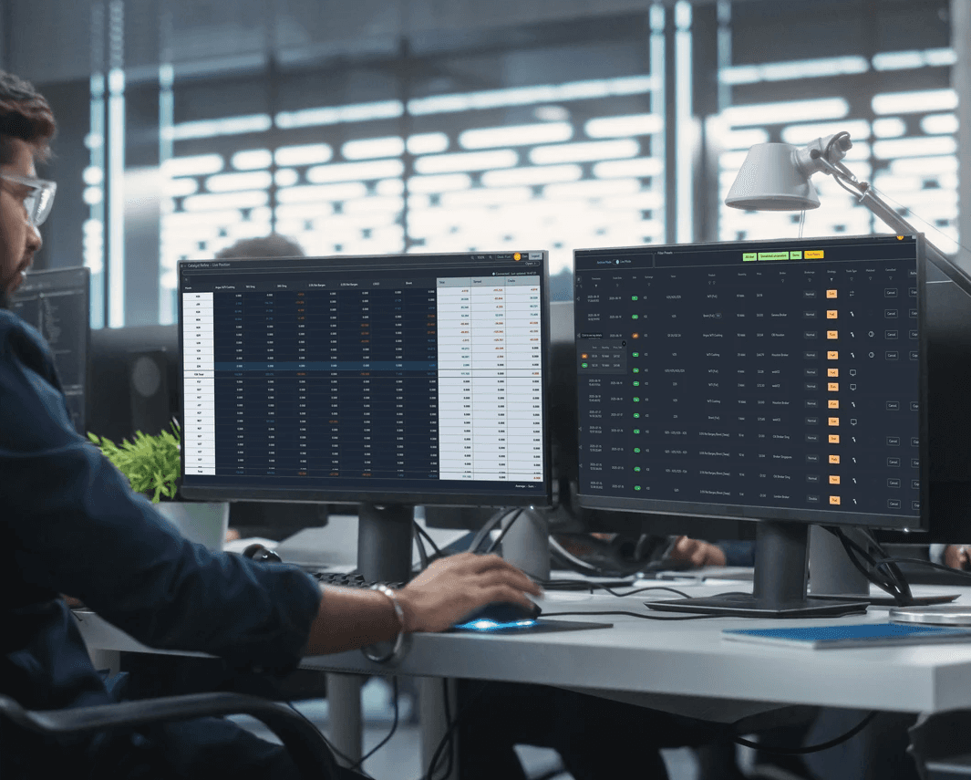 Catalyst risk software