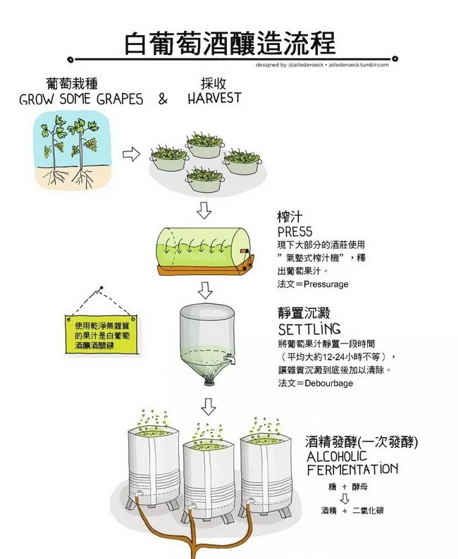 白葡萄酒去皮 葡萄酒製作過程 做 葡萄酒 的葡萄 白酒 制作 方法 傳統葡萄酒做法 葡萄酒二次發酵 葡萄酒發酵 自釀 葡萄酒 發霉 白葡萄酒怎麼製作 請問白酒只能用白葡萄製作嗎 白酒跟白葡萄酒一樣嗎 葡萄酒之舊世界與新世界之間如何界定 白葡萄酒就是這樣造 白葡萄酒(天然發酵法) 食譜與作法 白葡萄酒是如何酿成的 如何釀造葡萄酒