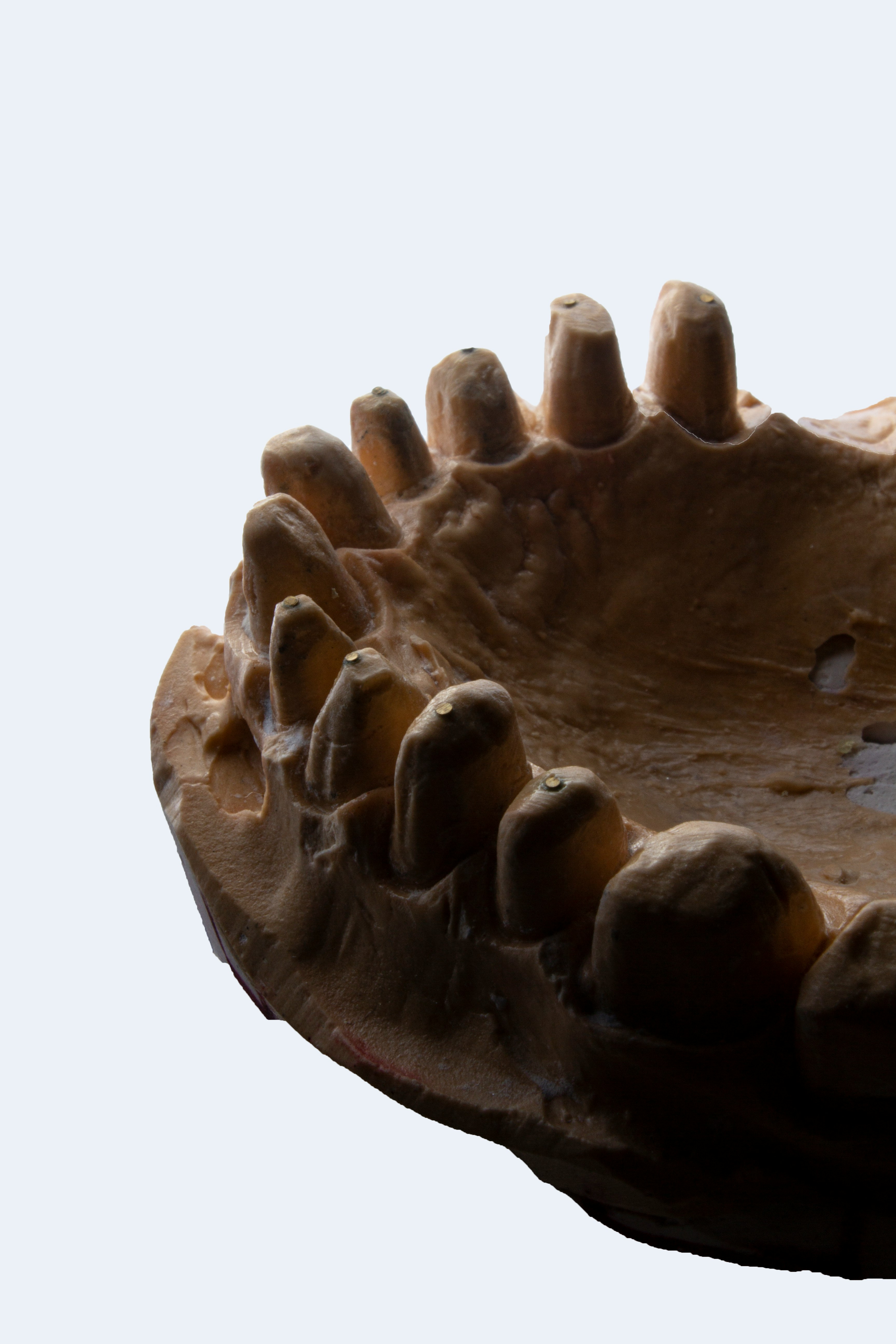 a close-up of a hand