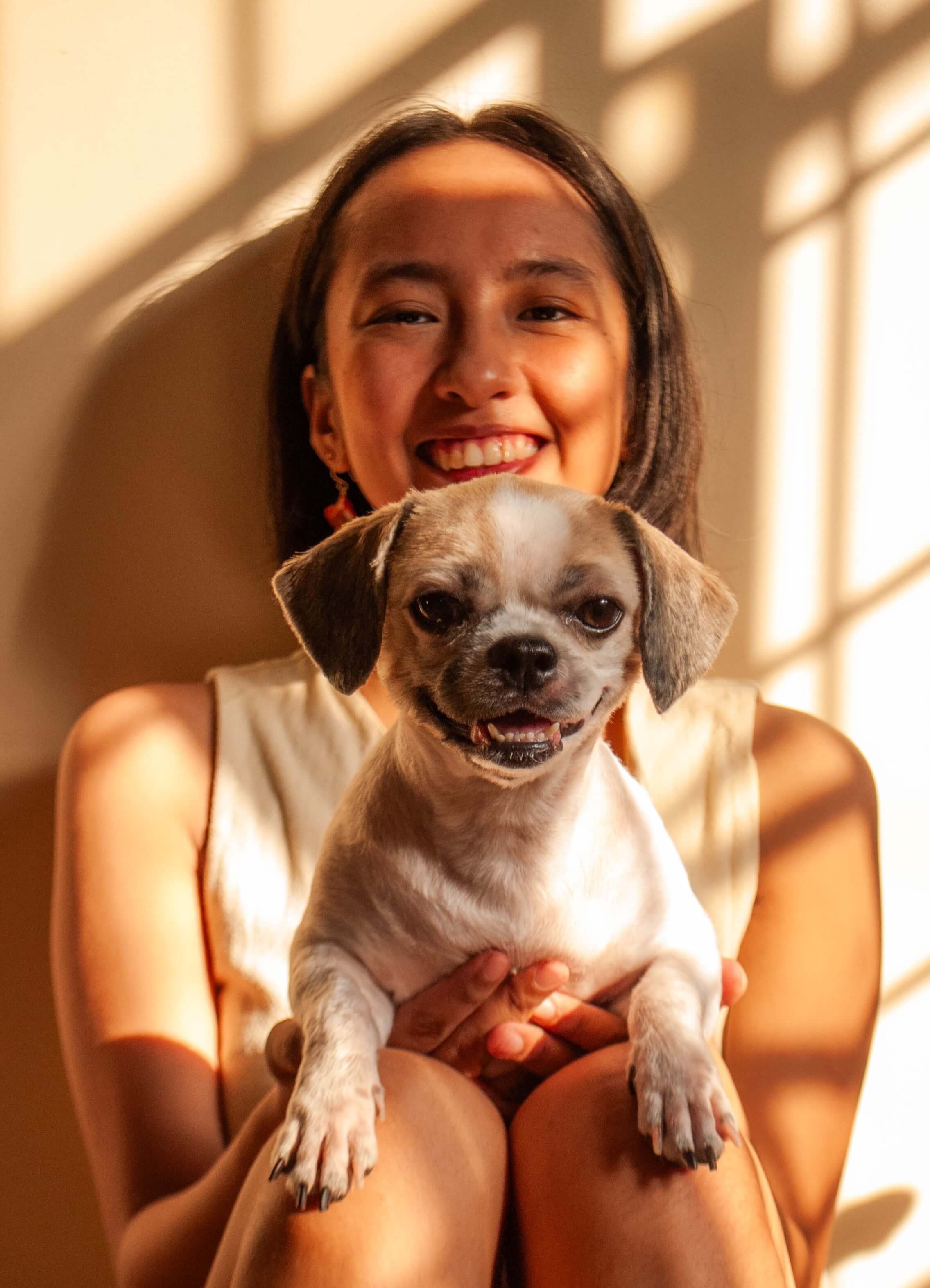 Smiling person holding happy dog in warm sunlight 