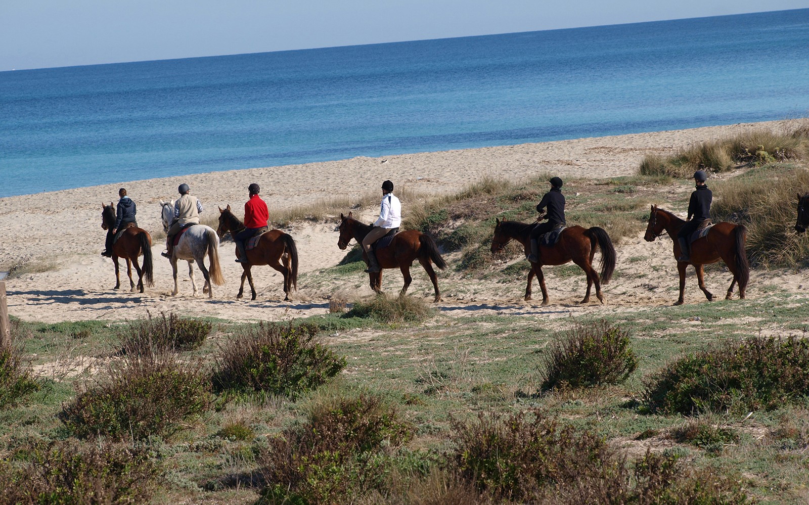 Jinetes a caballo en un sendero de playa de arena junto al mar en Mallorca.