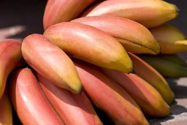 Red Banana benefits