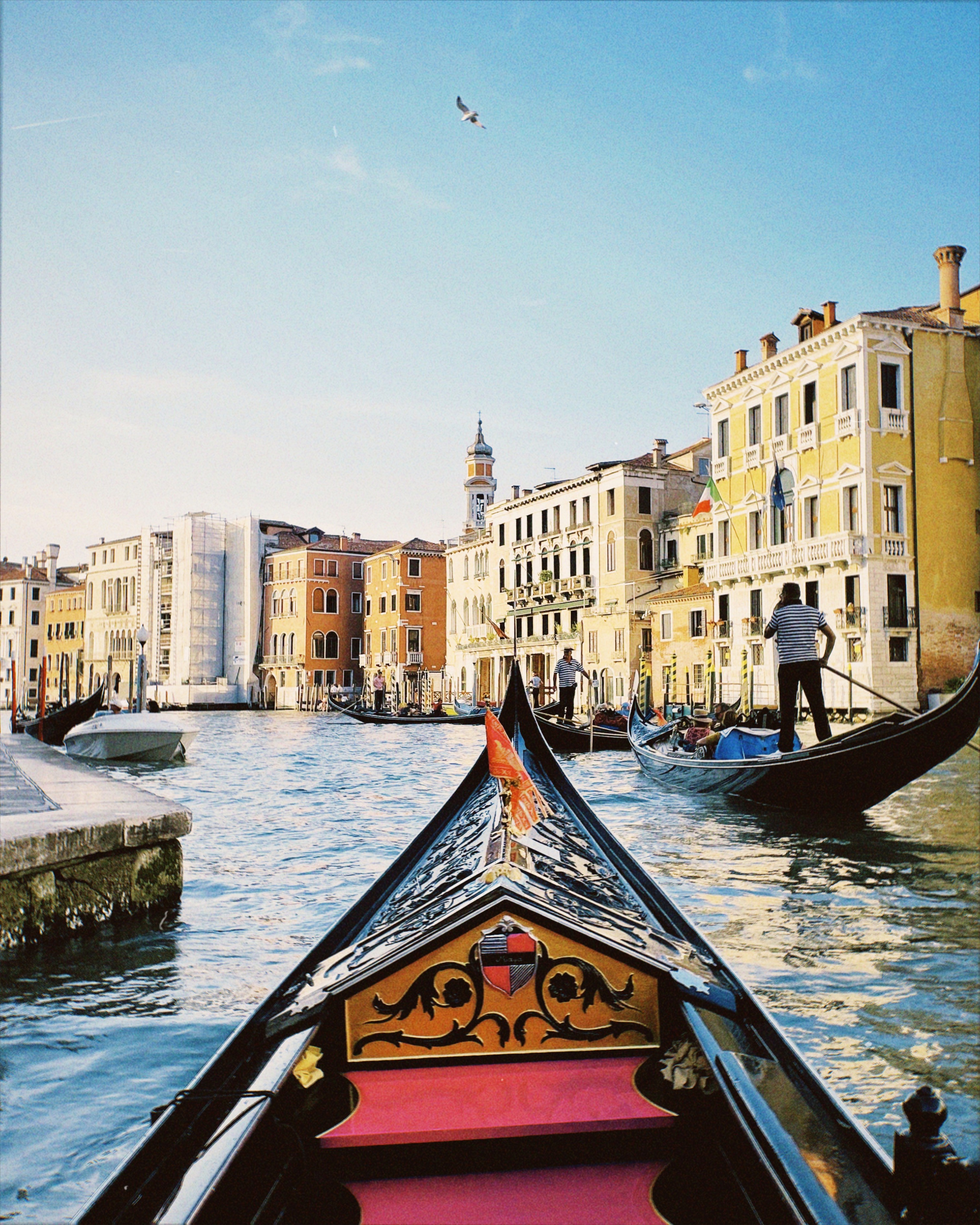 Urban Street Fashion Portrait