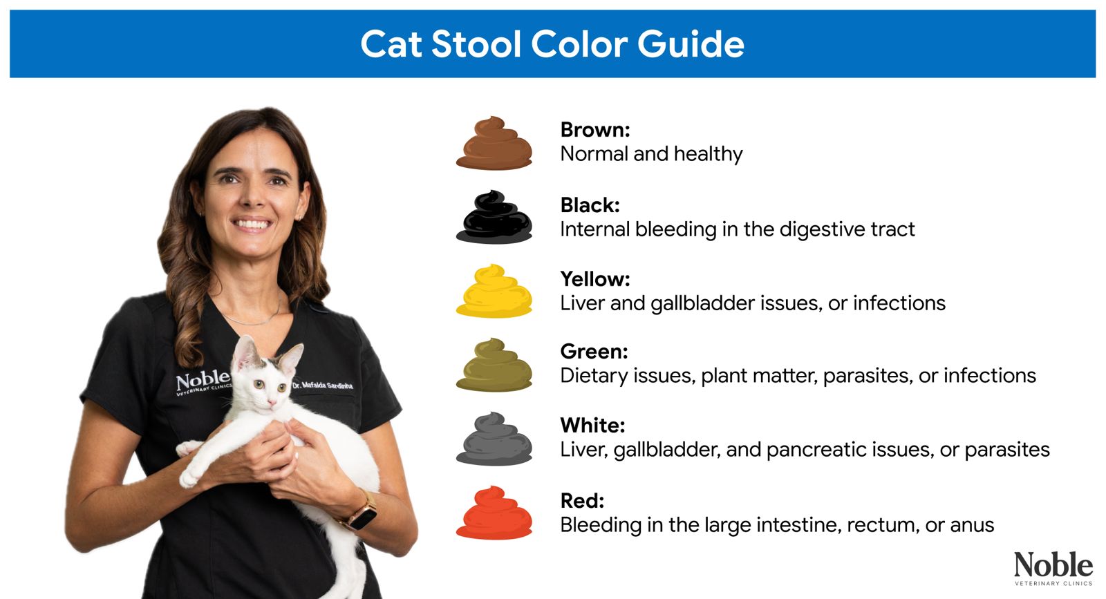An infographic showing the different colors of cat stool and their meanings.
