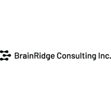 BrainRidge Consulting Inc. logo
