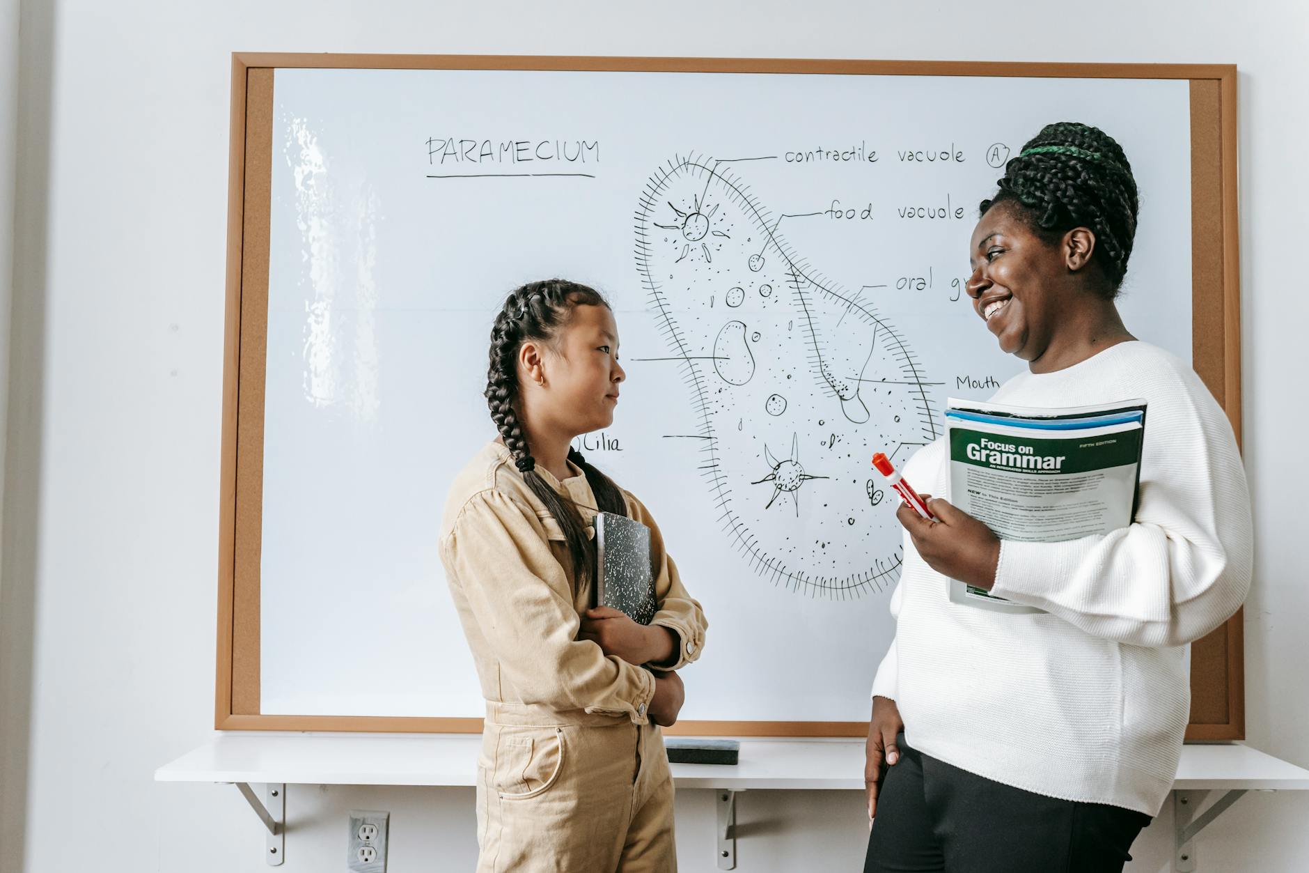 A teacher points to large illustrations in big books during a primary school science lesson about life cycles.