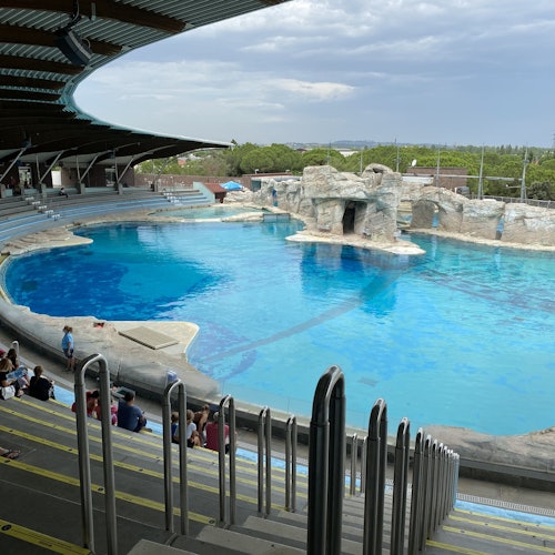 An empty aquatic stadium with a large blue pool, rocky structures, and tiered seating. Few people in the bottom-left corner.