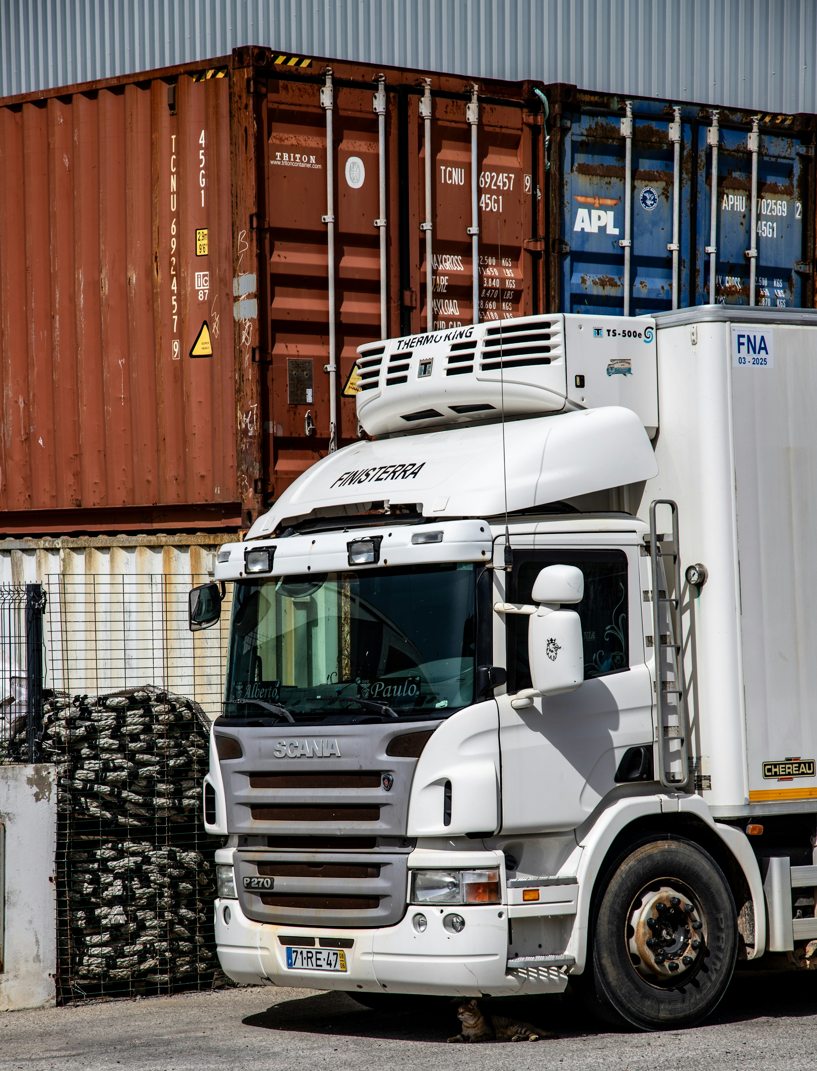 Service Image
