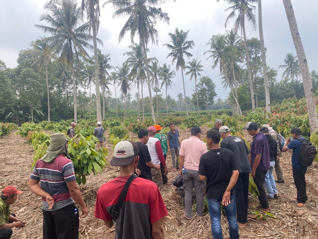 A group of people gathers in a field surrounded by trees, engaged in discussion under a cloudy sky.