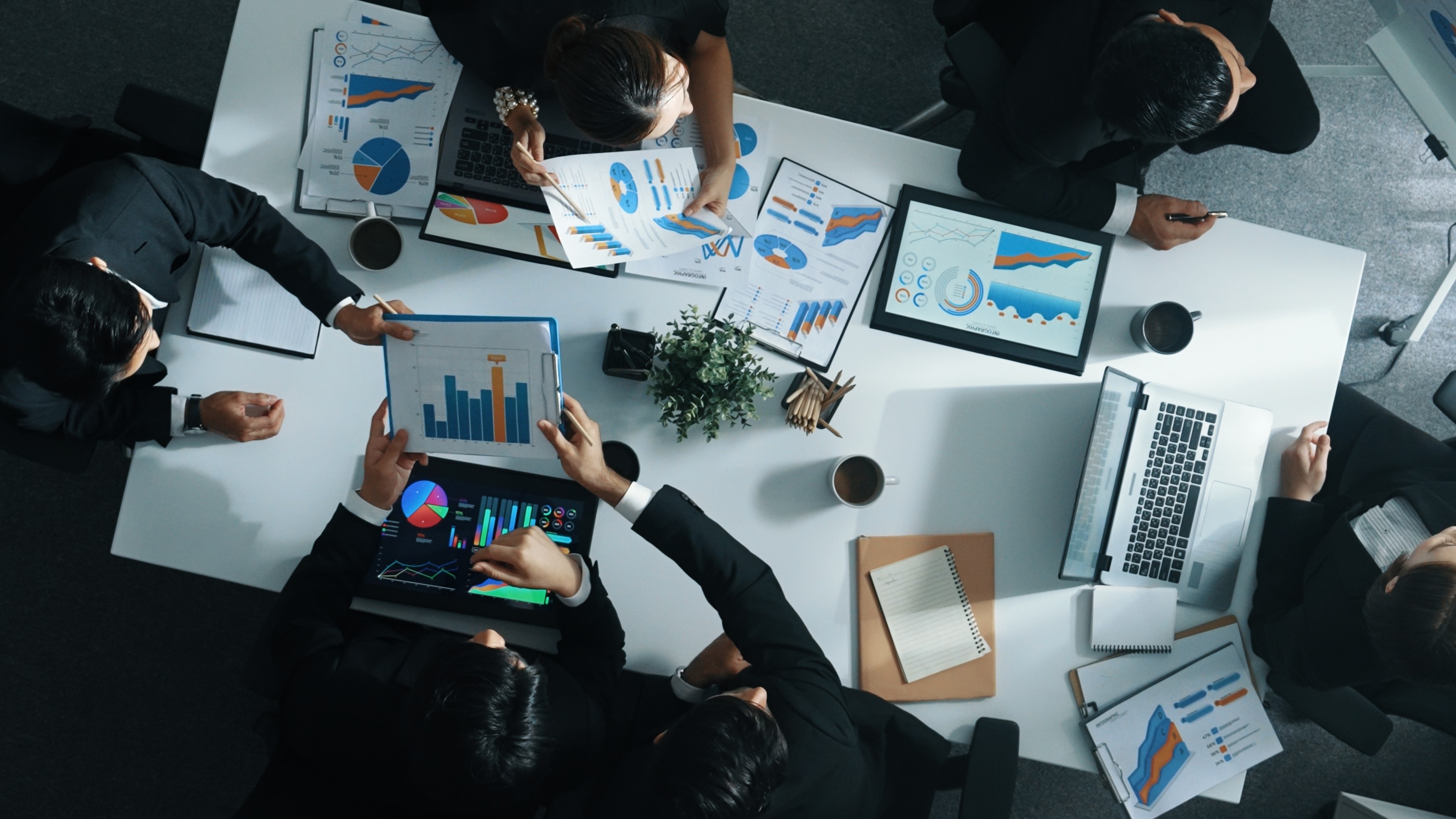 Image representing Bachelor of Business Management - Appli