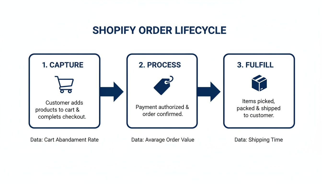Diagram showing the three stages of the Shopify order lifecycle: capture, process, and fulfill, with data metrics.