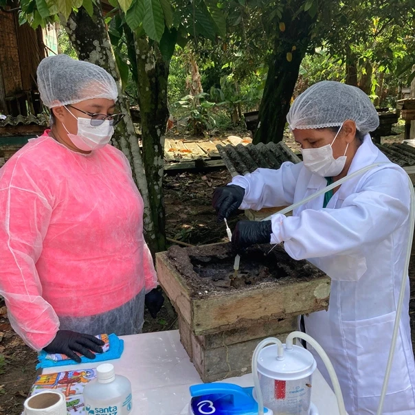 Mulheres manejando uma colônia