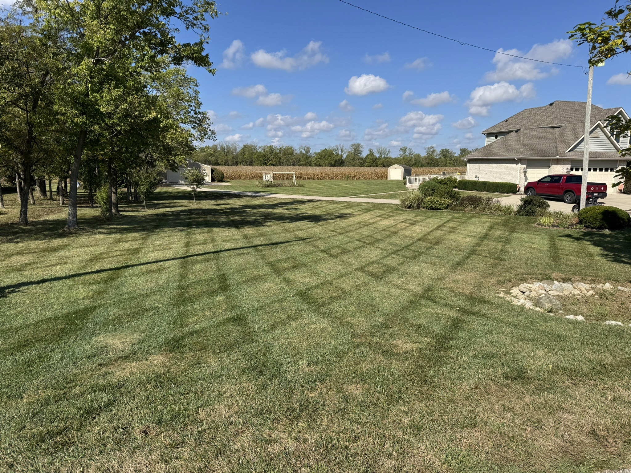 Freshly cut lawn