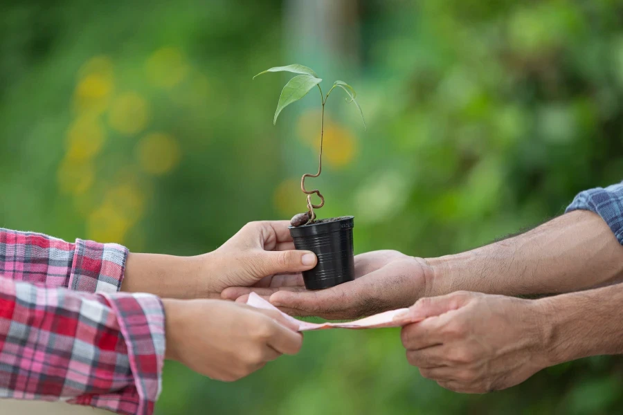 Environmental Conservation and Awareness