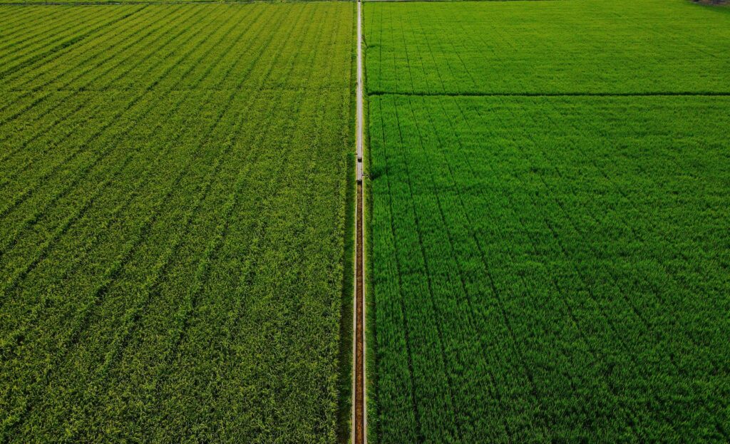 Zasiedzenie części działki