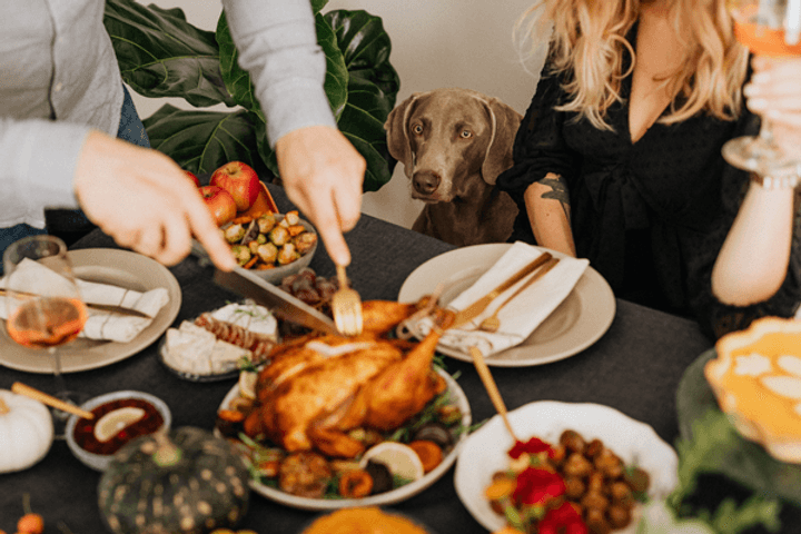 Dog looking overlooking the thanksgiving table and someone cutting the turkey