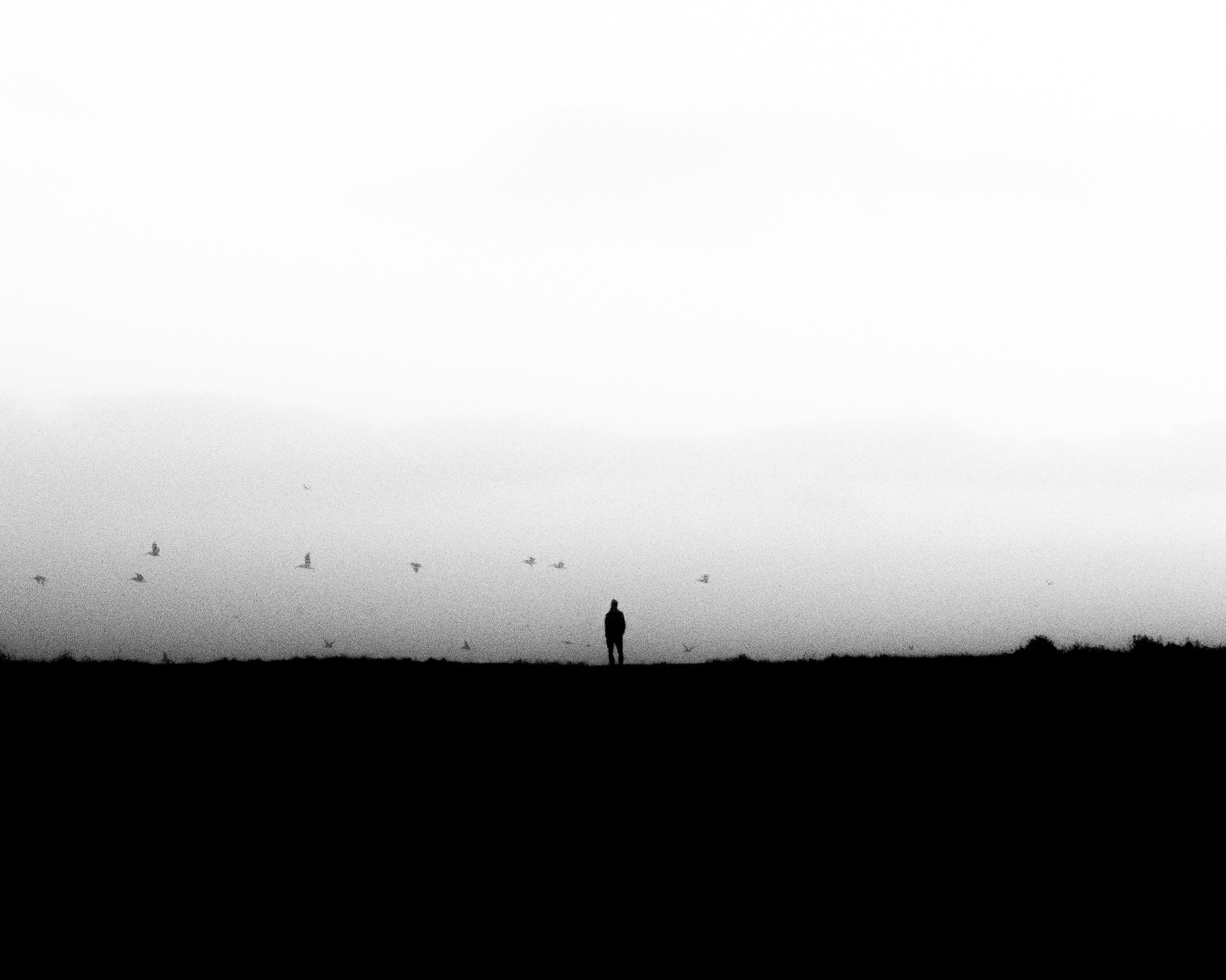 OUT. FALL 2024. UNKNOWN, CA. 