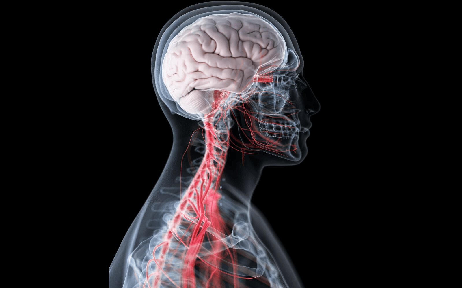 High school student reviewing neuroscience research paper for academic journal submission