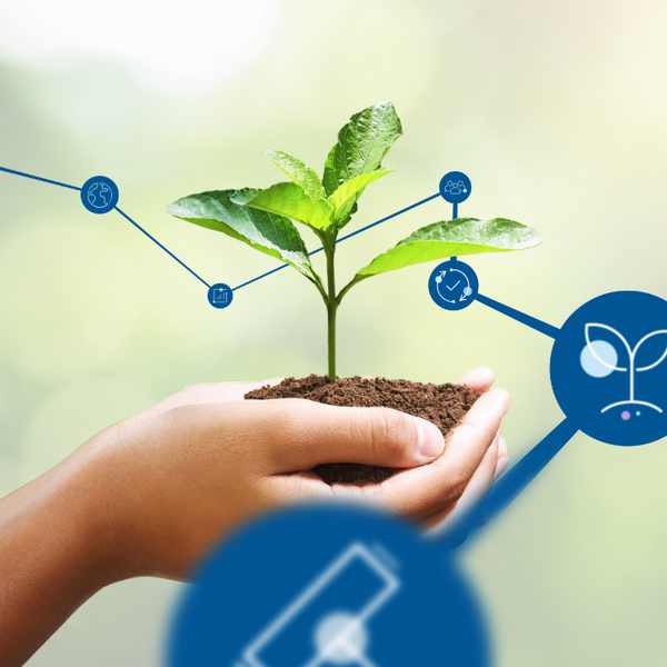 Planting the seeds of success and tracking impact for biopolymer trailblazer, Chestnut Bio