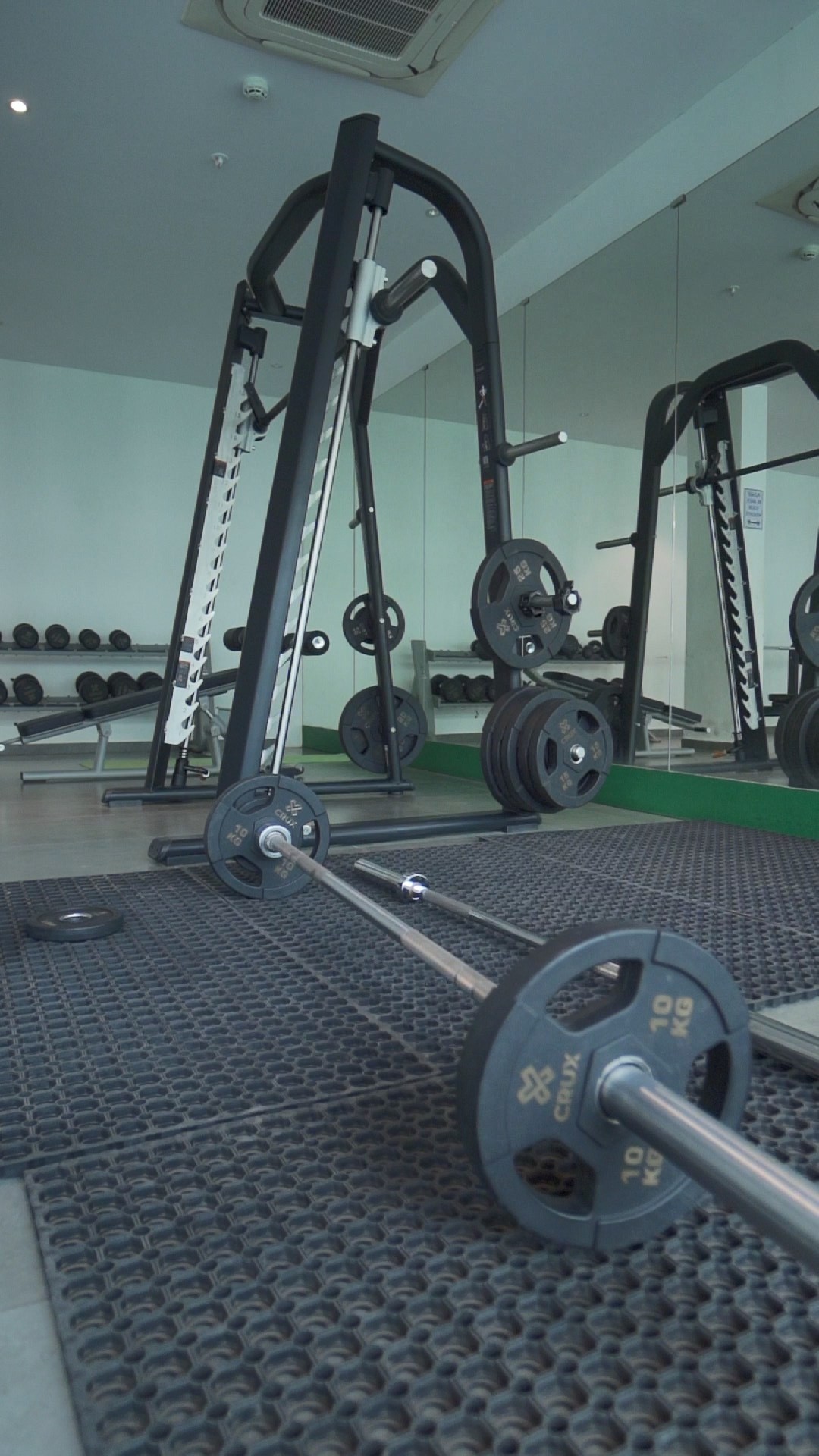 A row of dumbbells in a gym