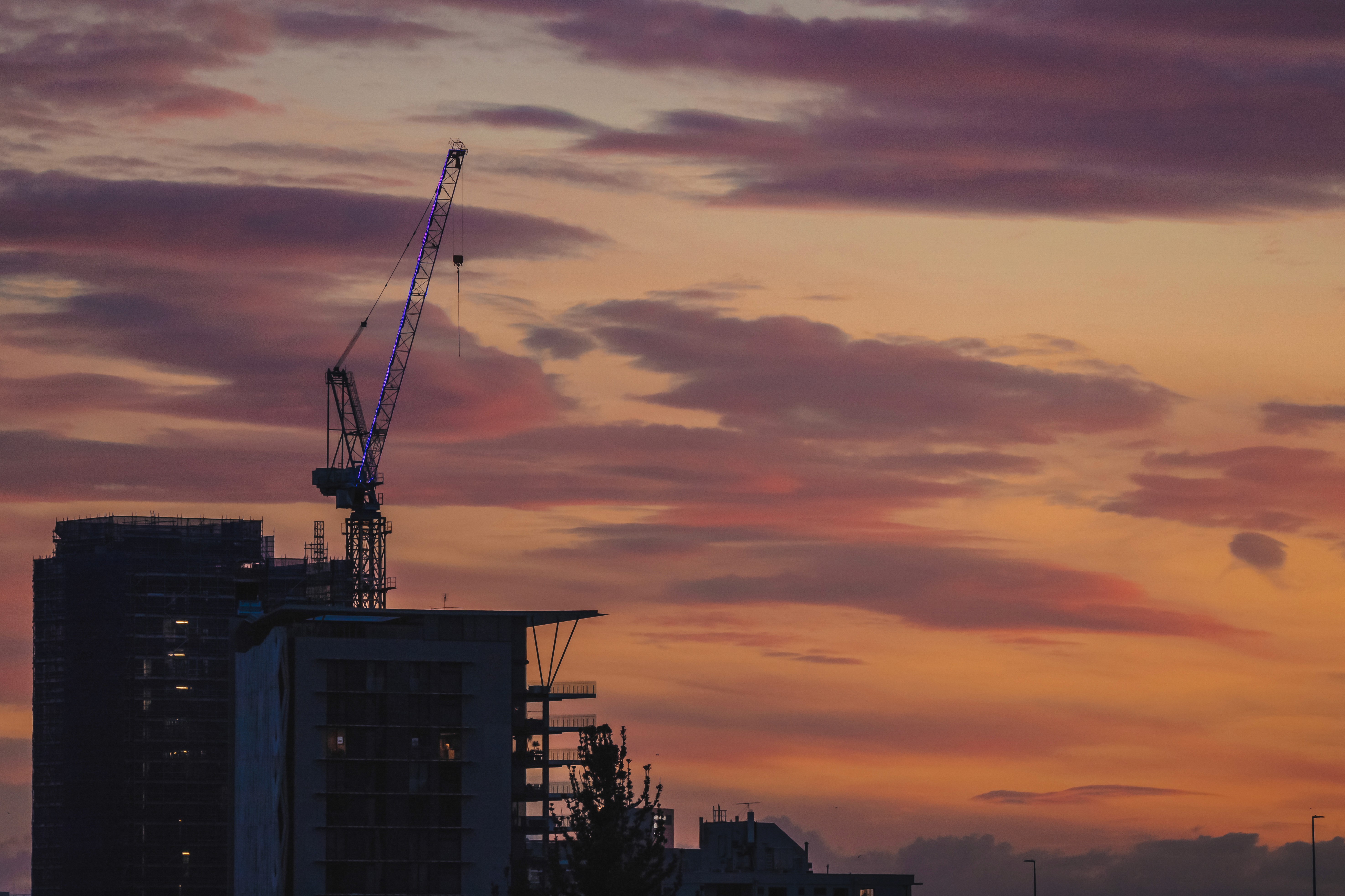 Development Advisory and Management