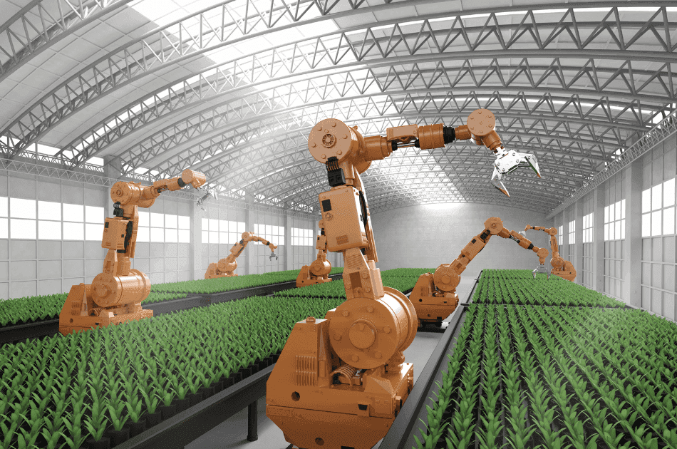 AI robots managing a greenhouse with lots of similar green plants