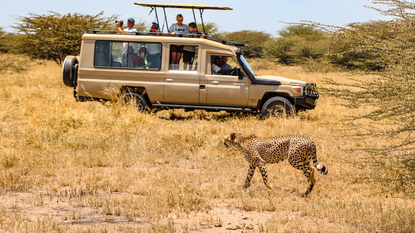 View from the Manyara Escarpment over the Great Rift Valley