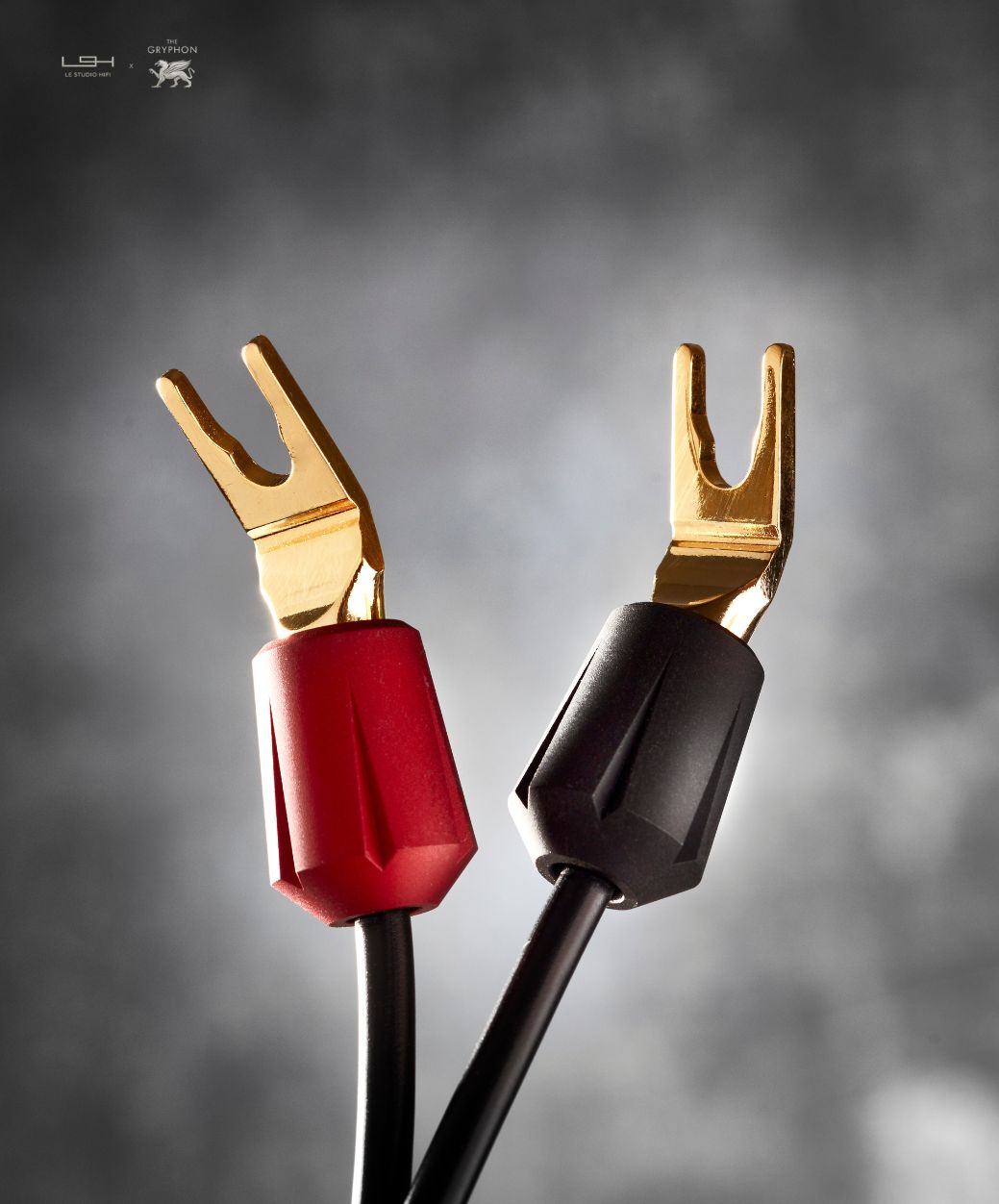 Naim NAPS 555 DR back