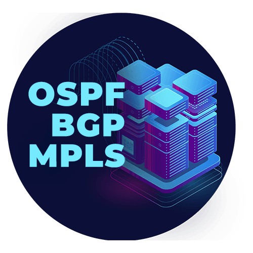 OSPF BGP MPLS