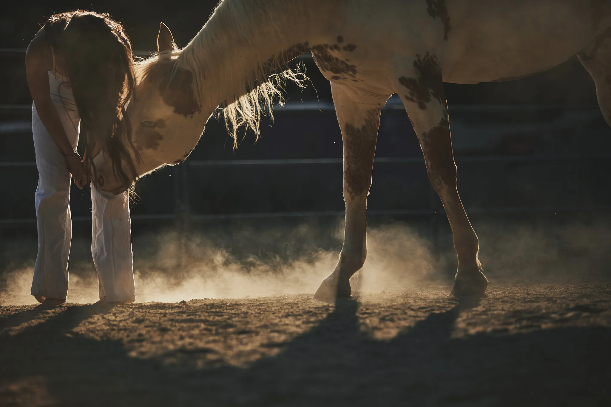 woman bows head beside lowered horse — Alex Saidac photography by Tom Kubik