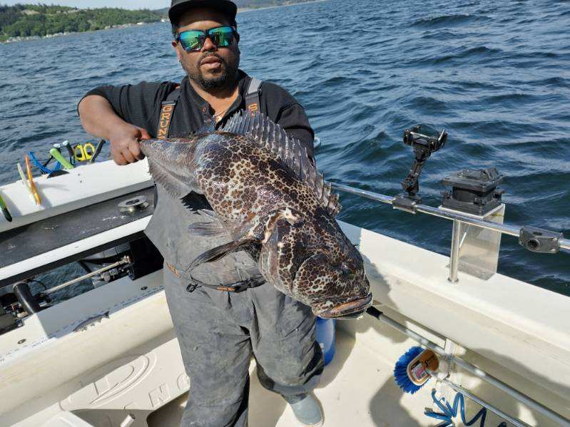 Fishing charter holding lingcod fish
