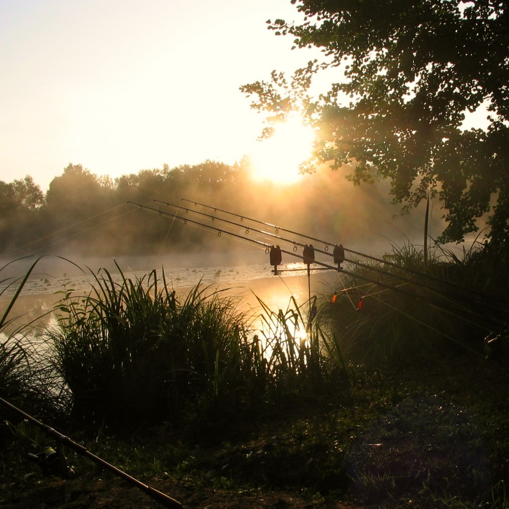 magnifique spot de pêche au bord de l'eau au domaine de la brame au levé du soleil avec la brume légère qui couvre l'étang