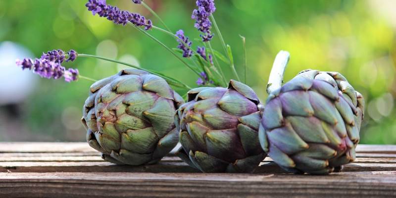 Frutta e verdura di febbraio: il carciofo