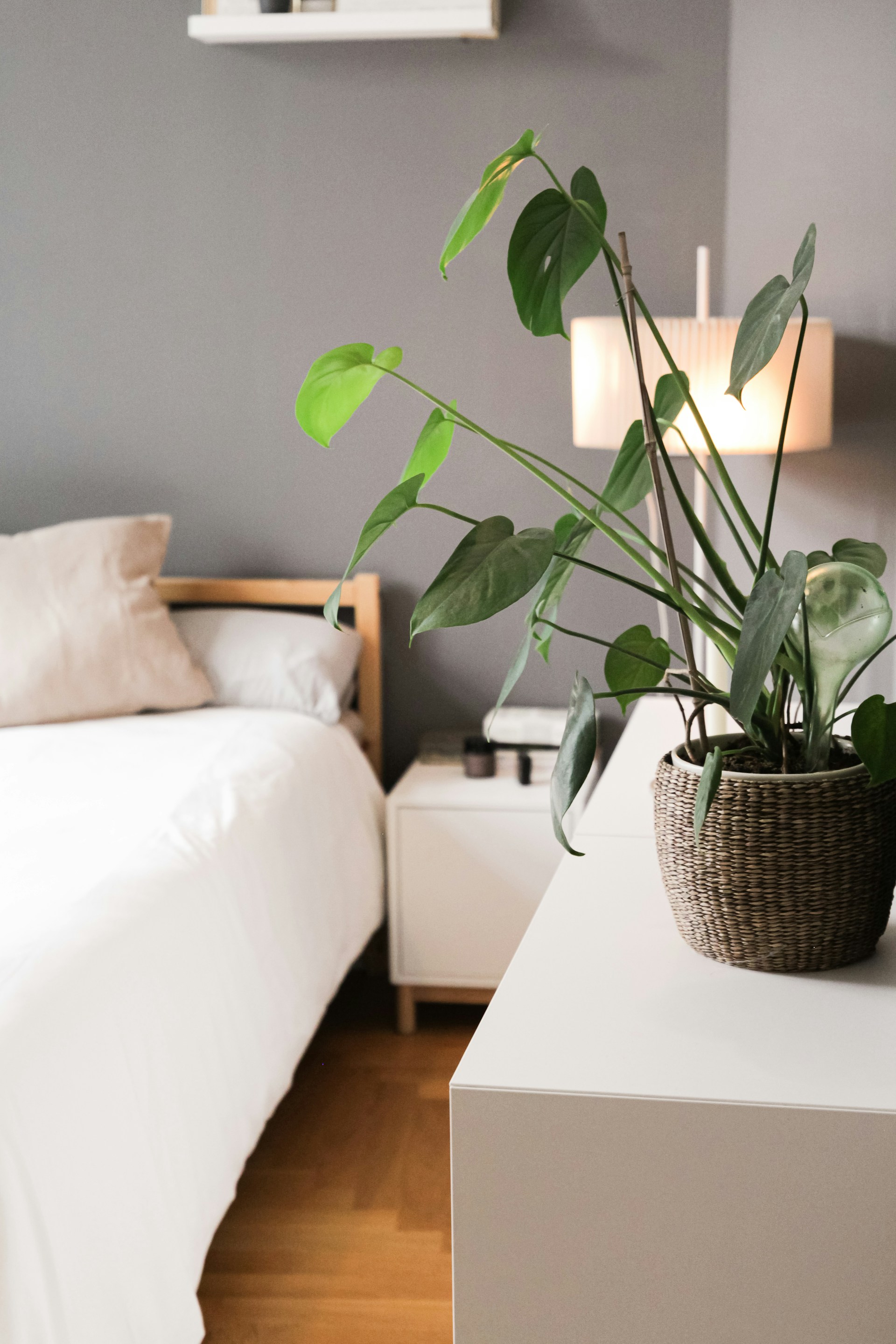 a bed and green asmosphere