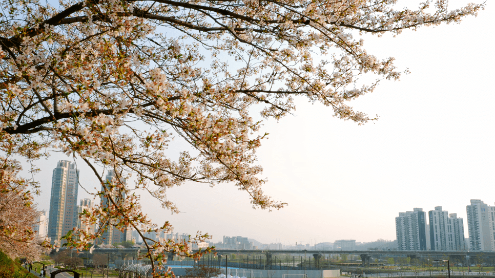 People using laptop and discusing