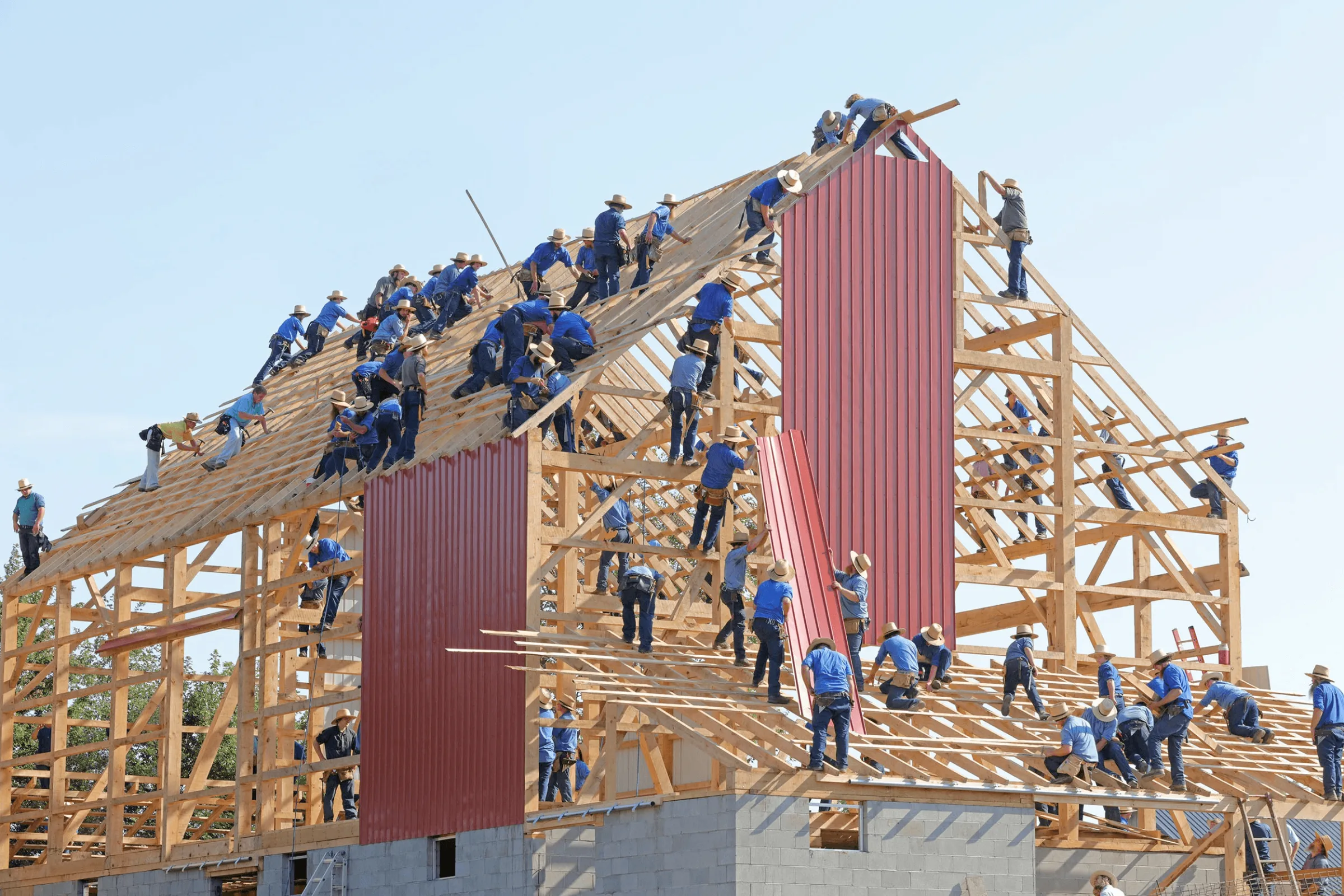 Amish community barn raising with dozens of workers in blue shirts collaborating on wooden frame structure