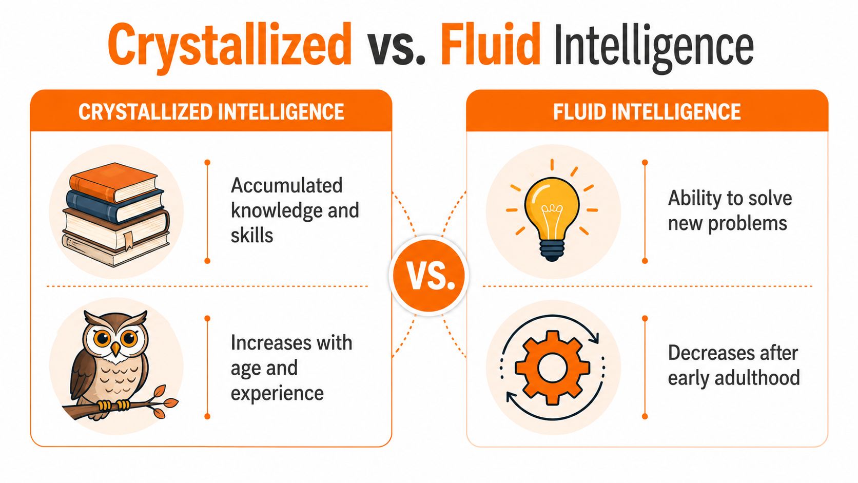 An infographic comparing crystallized intelligence, which grows with experience, and fluid intelligence, which solves new problems.