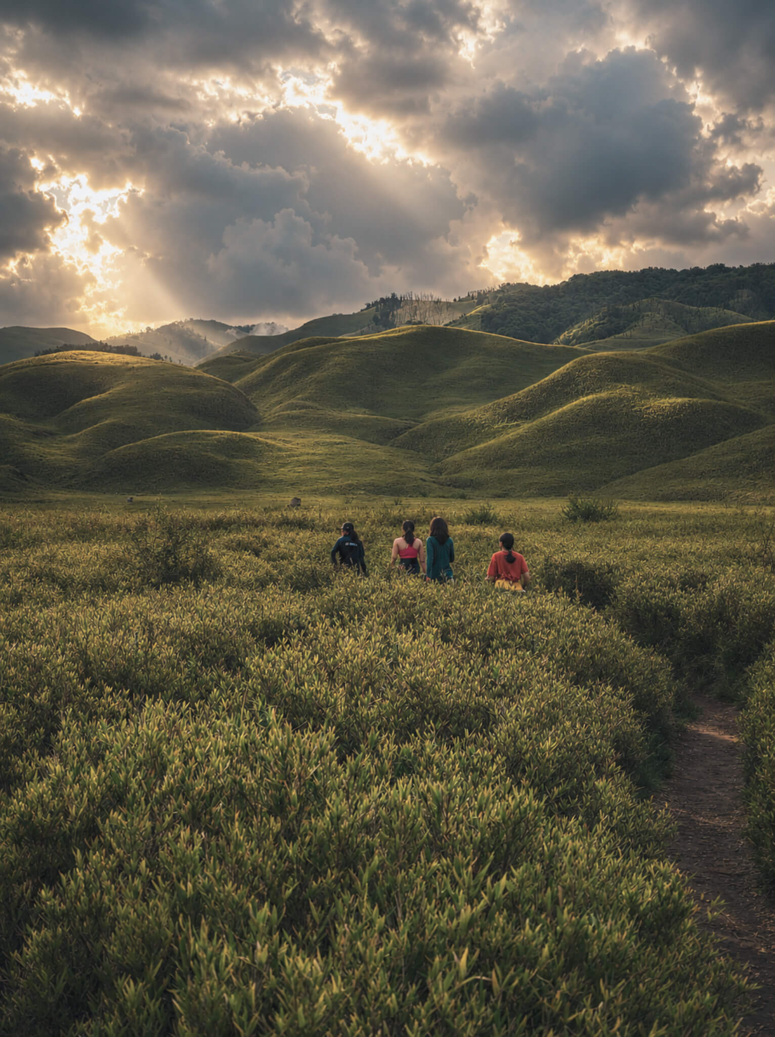Nagaland