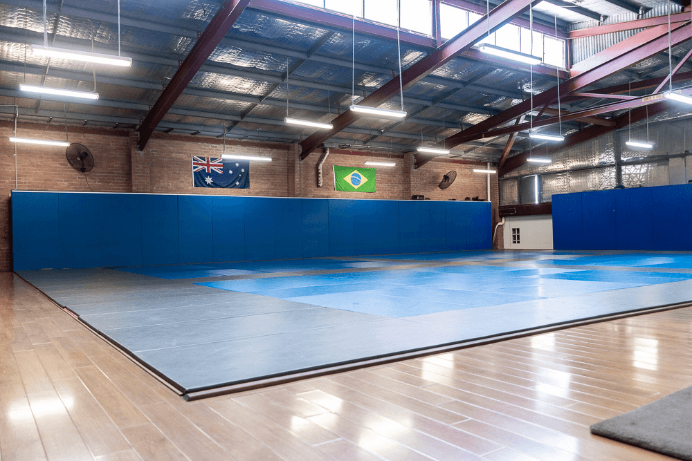 Empty Jiu Jitsu mat area under natural lighting