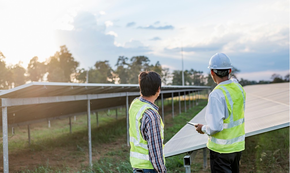 technician viewing solar panels