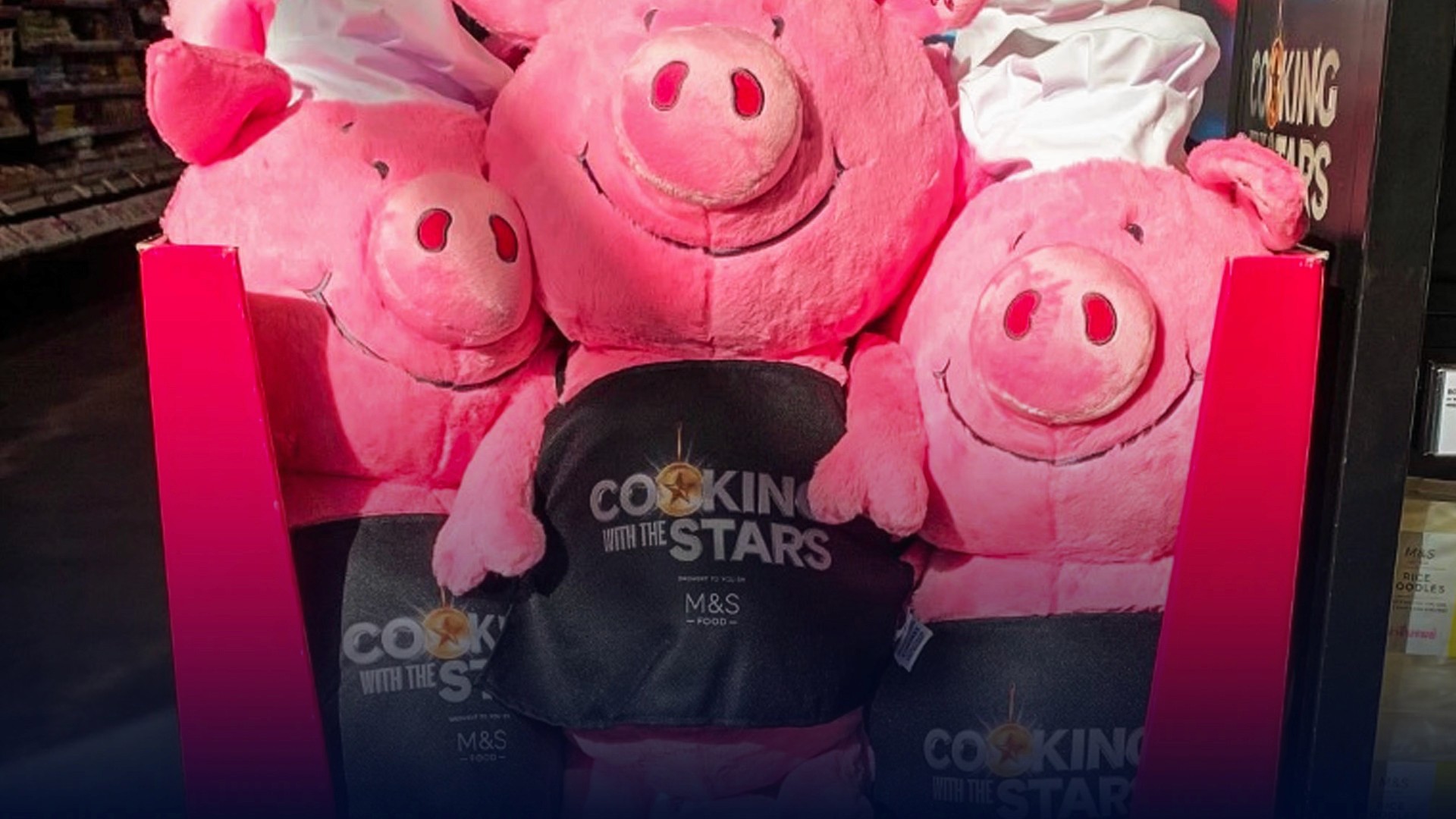 cooking with the stars